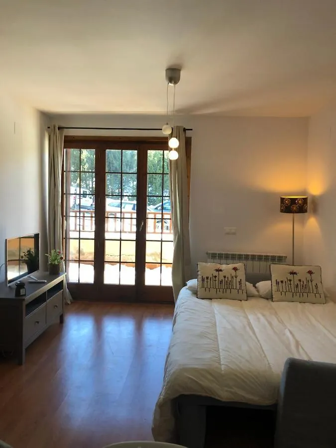 公寓 Apartamento Frente Pistas De Esqui La Molina 拉莫利纳 西班牙